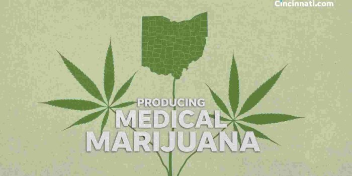 1920x1080 Growing medical marijuana: Ohio's seed to sale process