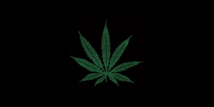 1366x768 49+] Marijuana Screensavers and Wallpaper on WallpaperSafari
