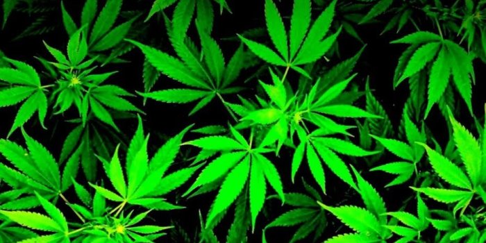 930x1600 Marijuana Wallpaper | Wallpapers Legend