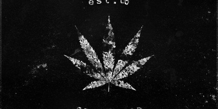 800x1000 skof.co Instagram Profile | Picdeer