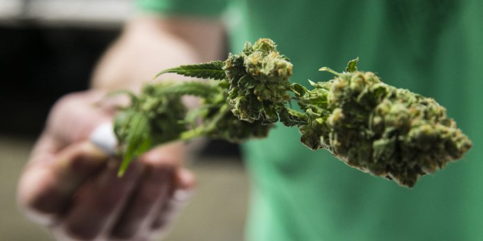 1920x1080 Black New York Lawmakers Refuse To Push Legalization Of Marijuana
