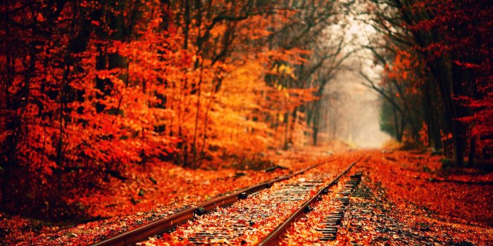 2560x1440 Autumn Wallpaper | 2560x1440 | ID:37044