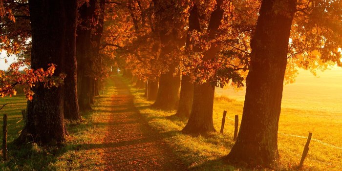 2560x1440 Fall HD Wallpaper | Background Image | 2560x1440 | ID:545897