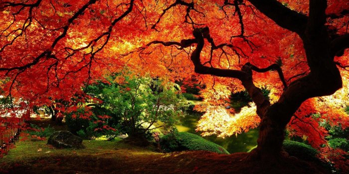 2560x1440 71+ Desktop Fall Wallpapers on WallpaperPlay