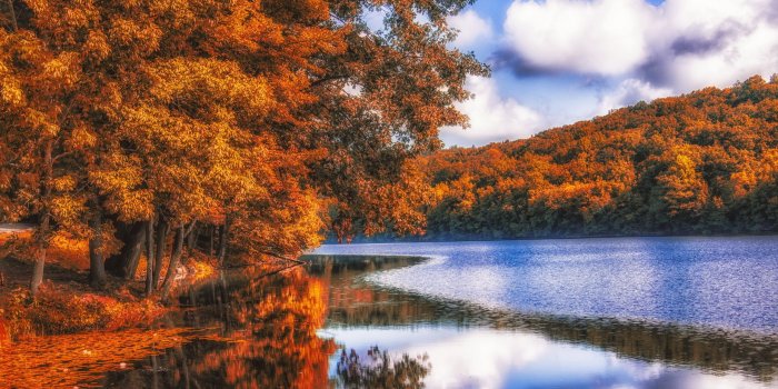 2560x1440 Lake, Forest, Autumn ❤ 4K HD Desktop Wallpaper for 4K Ultra HD TV
