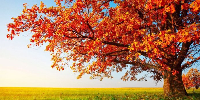 1600x900 48+] Autumn HD Wallpapers 1080p on WallpaperSafari