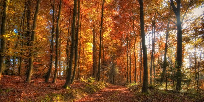 2560x1440 2560 x 1440 HD wallpapers « HD Wallpapers