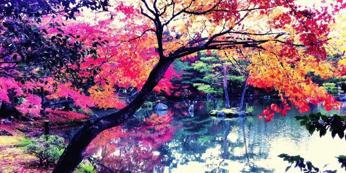 2560x1440 Japan Wallpaper 4K (67+ images)