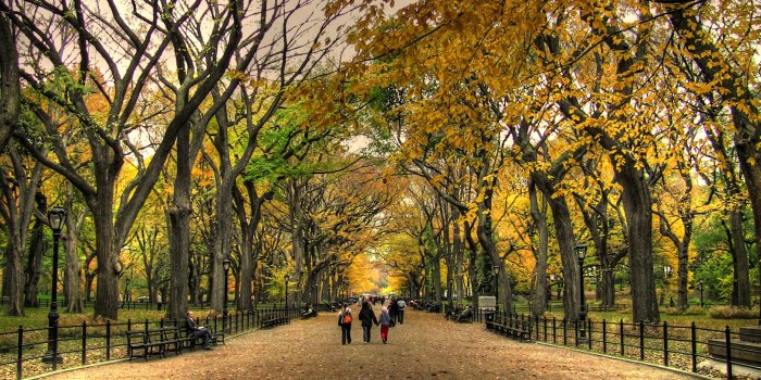 2560x1440 Central Park Wallpapers