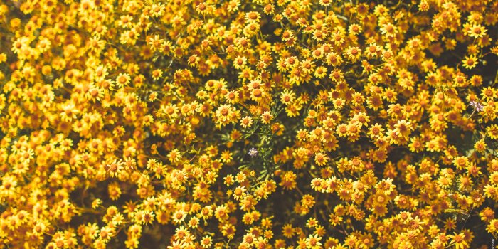 2560x1440 Wallpapers – All of them in One Place