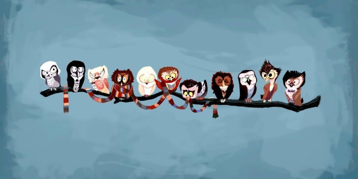 1920x1200 Desktop Wallpaper > Windows 7 > Funny owls | Owls | Owl cartoon, Owl