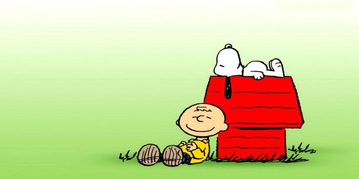 1600x871 Snoopy Wallpaper For Iphone X ✓ The Best HD Wallpaper