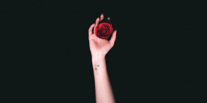1366x768 Download wallpaper 1366x768 hand, roses, tattoo, minimalism tablet