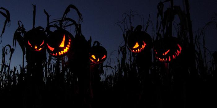 1680x1050 Halloween wallpapers HD for desktop backgrounds