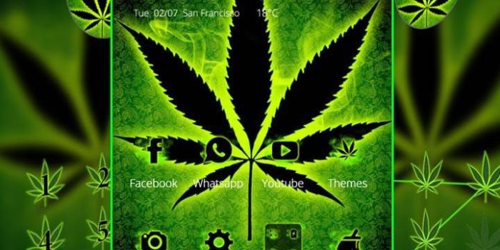 720x1280 Neon Rasta Weed Theme for Android - APK Download