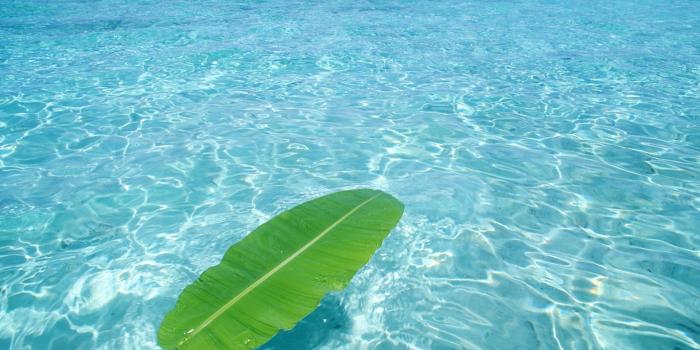 1920x1200 Clear Water wallpaper | 1920x1200 | #80654