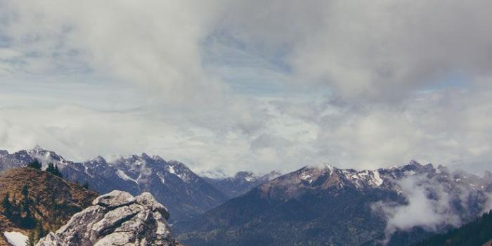 736x1308 16 Adventurous Forest & Mountain iPhone 7 Wallpapers | Preppy Wallpapers