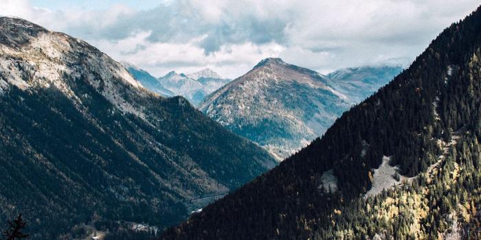 1242x2208 PAPERS.co | iPhone wallpaper | ni35-mountain-forest-summer-wood-nature