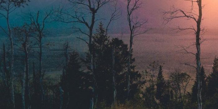 1080x1920 58+ Beautiful Landscape Wallpapers For Iphone - Templatefor