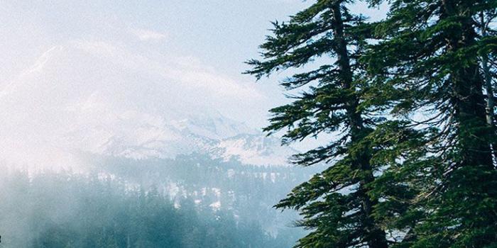 736x1308 Mountain iphone wallpaper Gallery