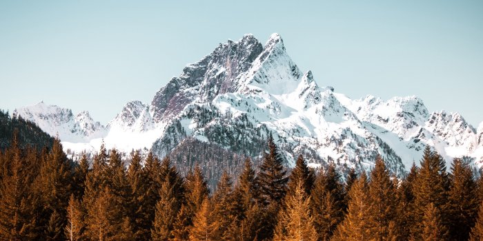 3840x2160 4K Mountain Forest Trees Wallpaper - [3840x2160]