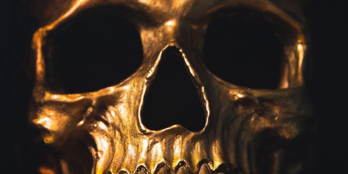 2160x3840 Download wallpaper 2160x3840 skull, gold, ornament, shine samsung