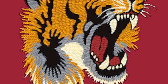 768x1280 Gucci Wallpaper by LeonitKelmendi - bc - Free on ZEDGE™