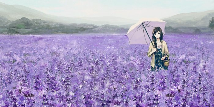 1920x1080 meadows, anime, baskets, umbrellas, anime girls, purple flowers