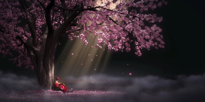 1920x1080 Painting of purple tree, Chinese animation, 3D, SNJYW, anime HD