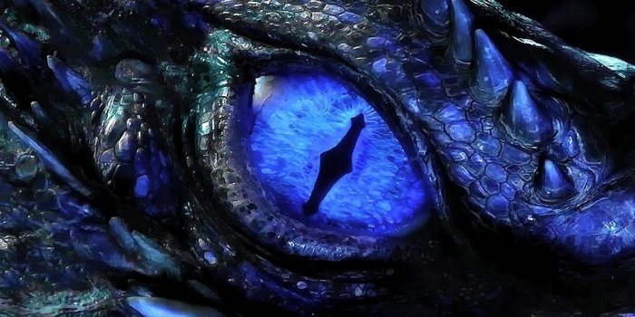 1920x1080 Dragon Eyes Wallpapers