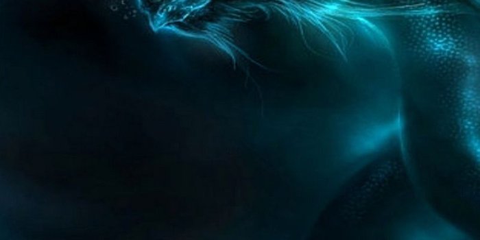 800x1280 Download wallpaper 800x1280 dragon, pattern, neon, shadows samsung