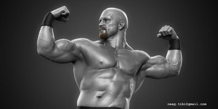 1920x1080 An Error Occurred - Stone Cold 3d Model (#910478) - HD Wallpaper