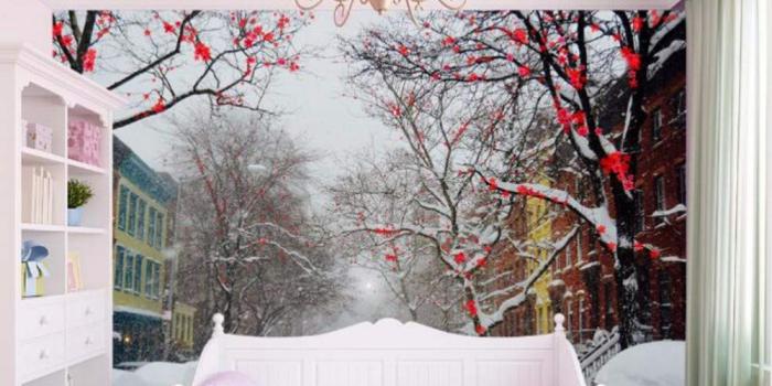 1000x996 Amazon.com: Dalxsh Cold Winter Plum Snow Street Large Murals 3D