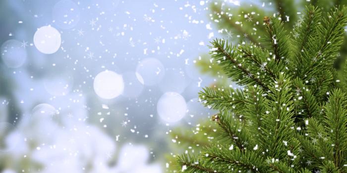 2560x1600 Peaceful Cold wallpaper