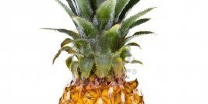 801x1200 Free download Quotes Psych Pineapple Logo Psych Wallpaper Psych