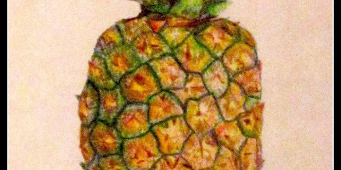 740x1080 49+] Psych Wallpaper Pineapple on WallpaperSafari