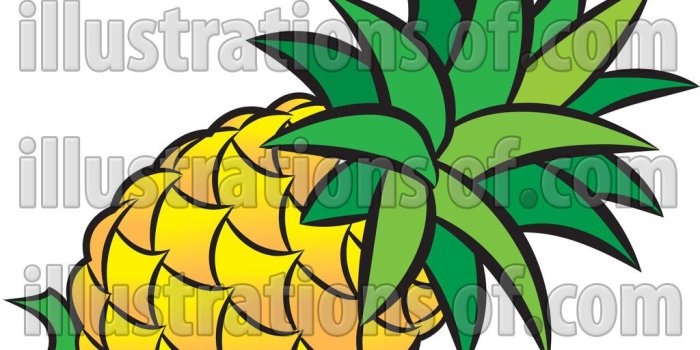 1024x1024 Psych Pineapple Outline- Free Clipart Images