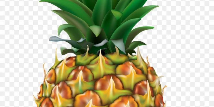 900x1320 Free Pineapple Transparent Background, Download Free Clip Art, Free
