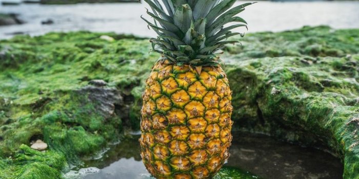 1000x1500 Psych Pictures | Download Free Images on Unsplash