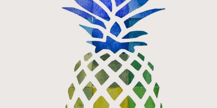 1257x1600 Pineapple - Cliparts.co