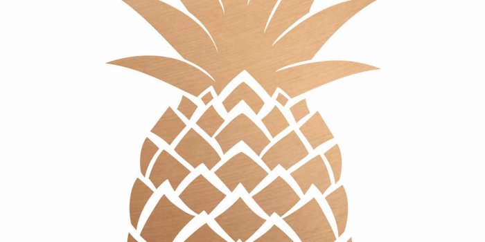 1152x2048 Pineapples Wallpapers ·① WallpaperTag