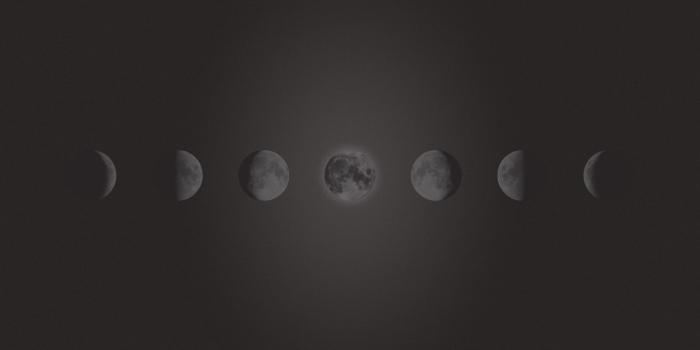 1920x1200 Freebie - Phases Of The Moon Wallpaper - Maddison Designs