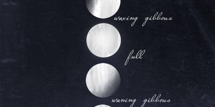 736x1104 Gibbous Moon Wallpapers