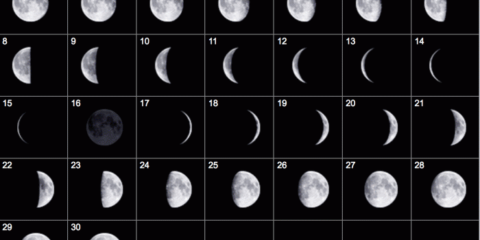 1207x813 Full Moon July 2019 Wallpapers