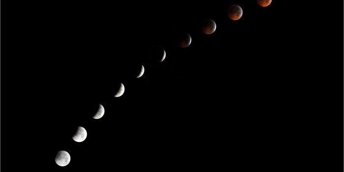 1600x900 Moon Phases - VIP Wallpaper | HD Wallpapers