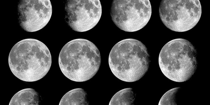 1200x2000 The Moon's Phases in Oreos | NASA Space Place – NASA Science for Kids