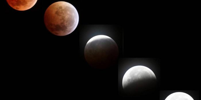 1439x1280 Moon phases Wallpaper by paganuploads - cf - Free on ZEDGE™