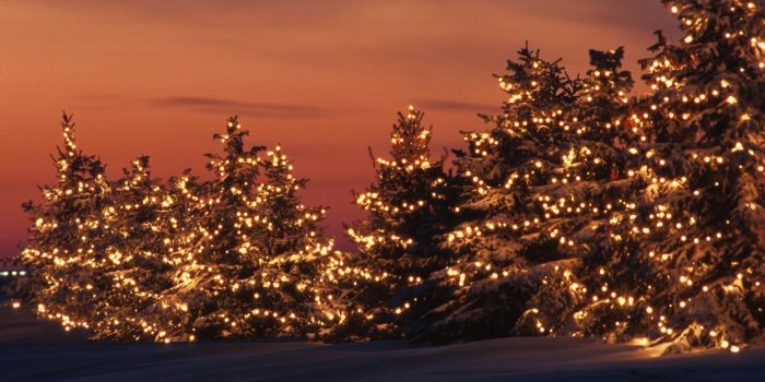 1920x1080 Merry Christmas and Happy Holidays! - published by hans erik on