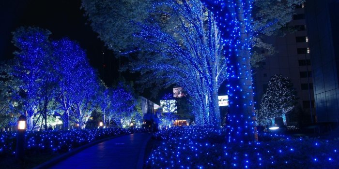 1920x1080 Download Animated Holiday Lights Wallpapers Full HD Desktop Background