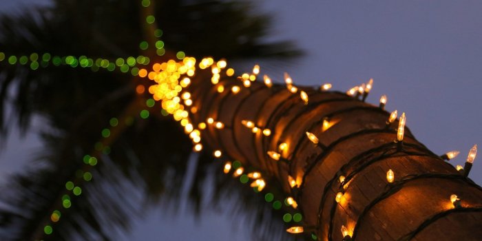 1920x1080 Sky Light Trees Palm Tree Holidays Holiday Lights Wallpaper Iphone 5